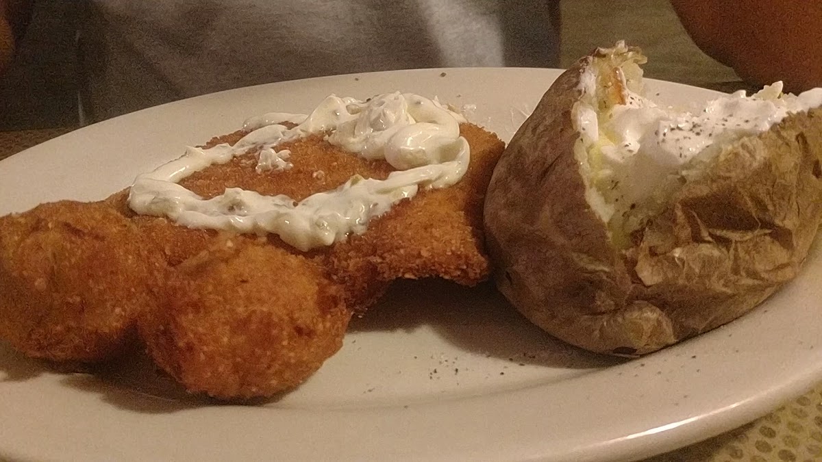 The Hungry Pelican-2