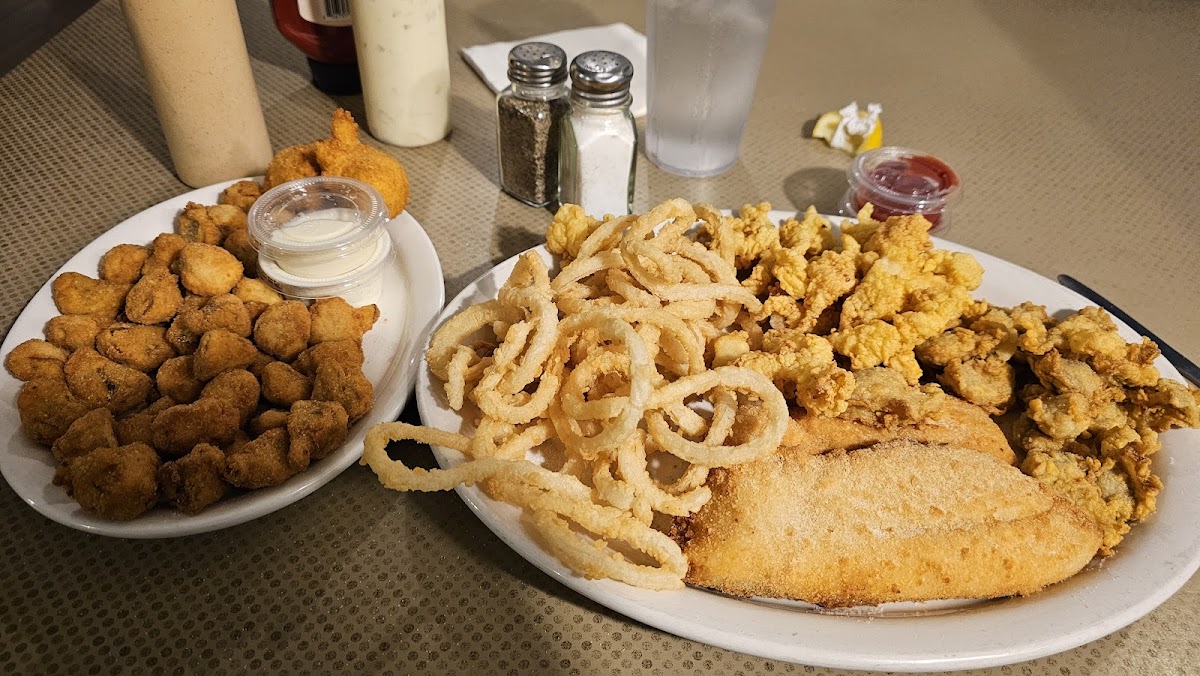 The Hungry Pelican-4